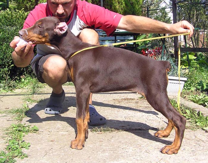 CAYA Faraya 2 and half months old_.jpg